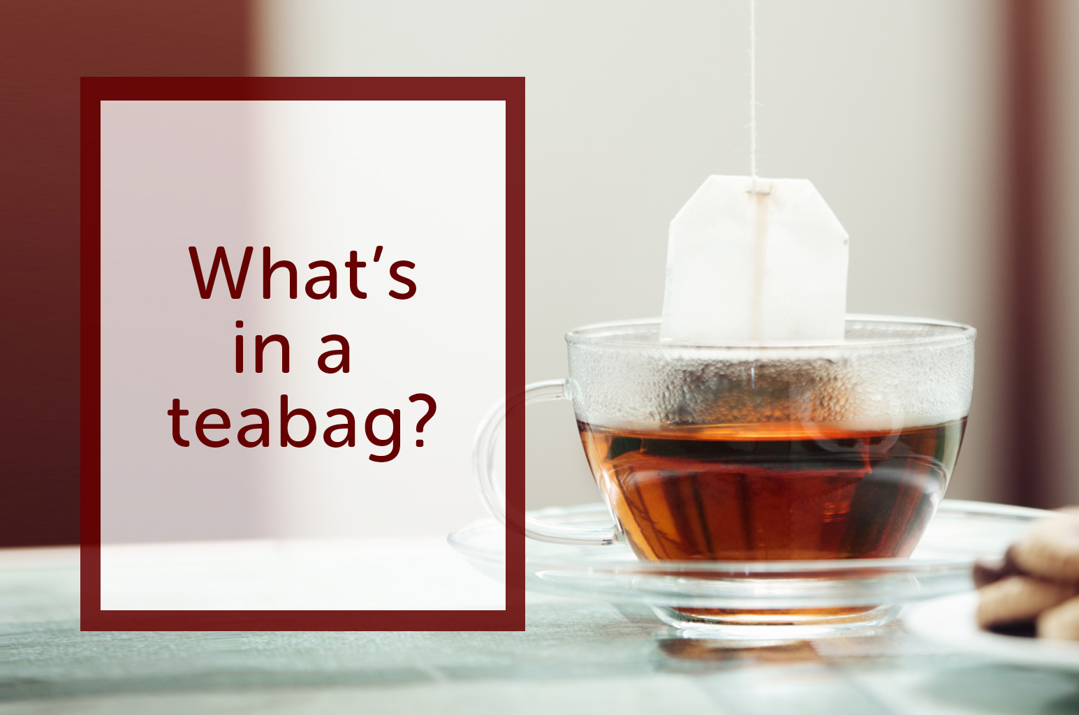What’s in a teabag?